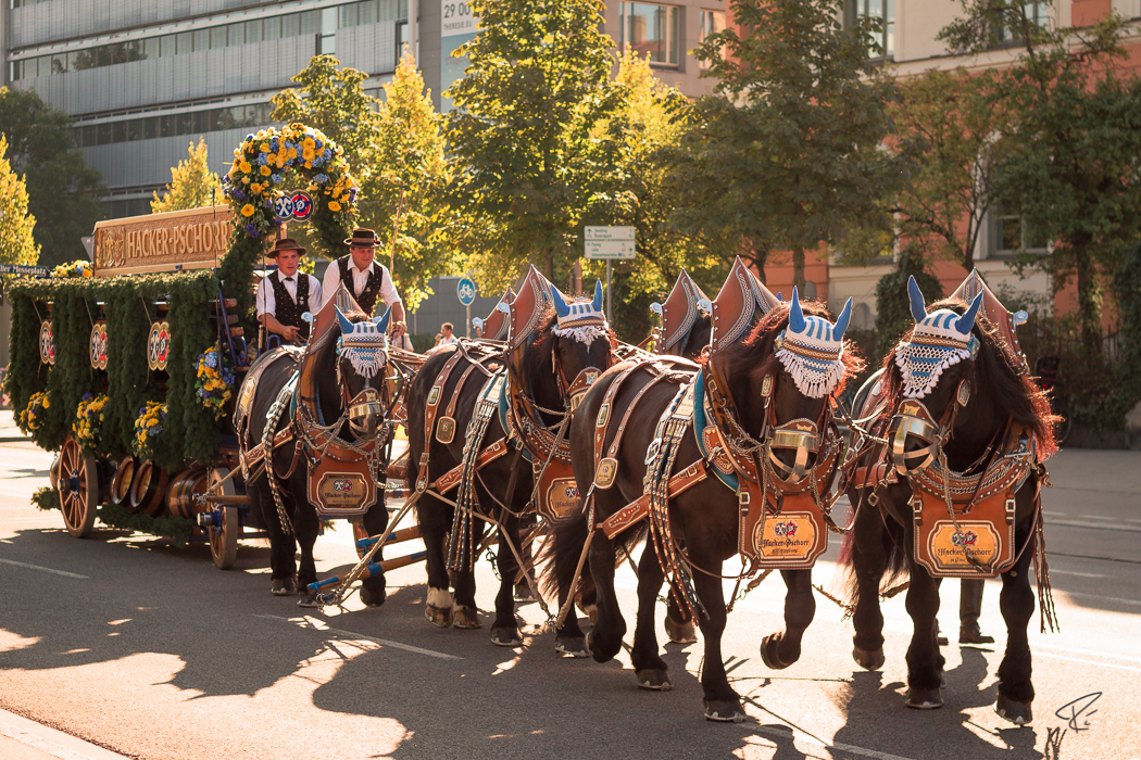 Oktoberfest Wiesn Munich Pferde Kutsche horses